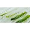 Chlorella Industry Co. 高等級 小球藻丸